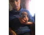 uprohorov